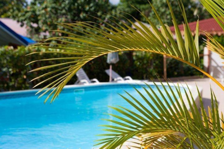 Hotel Le Rotabas Sainte-Anne  Eksteriør billede